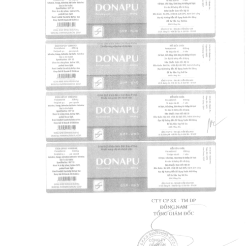 Donapu (Paracetamol) 650mg Đông Nam (H/100v)