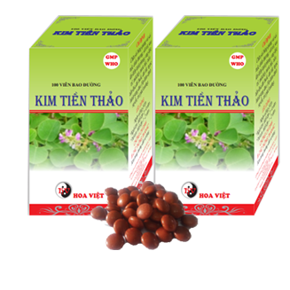 Kim Tiền Thảo Hoa Việt (C/100v)