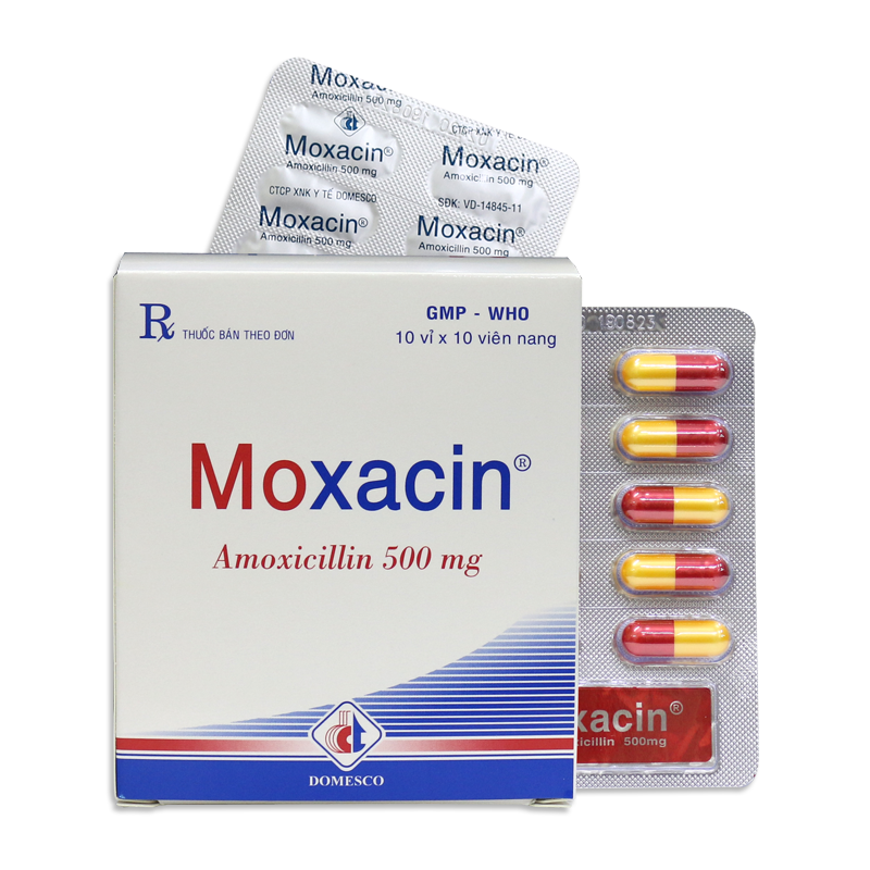 Moxacin (Amoxicillin) 500mg Domesco (H/100v)