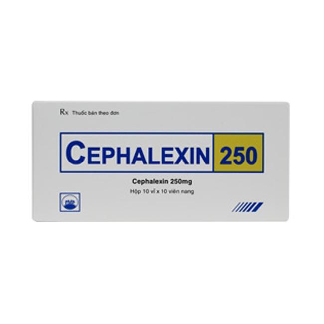 Cephalexin 250mg Pymepharco (H/100v)