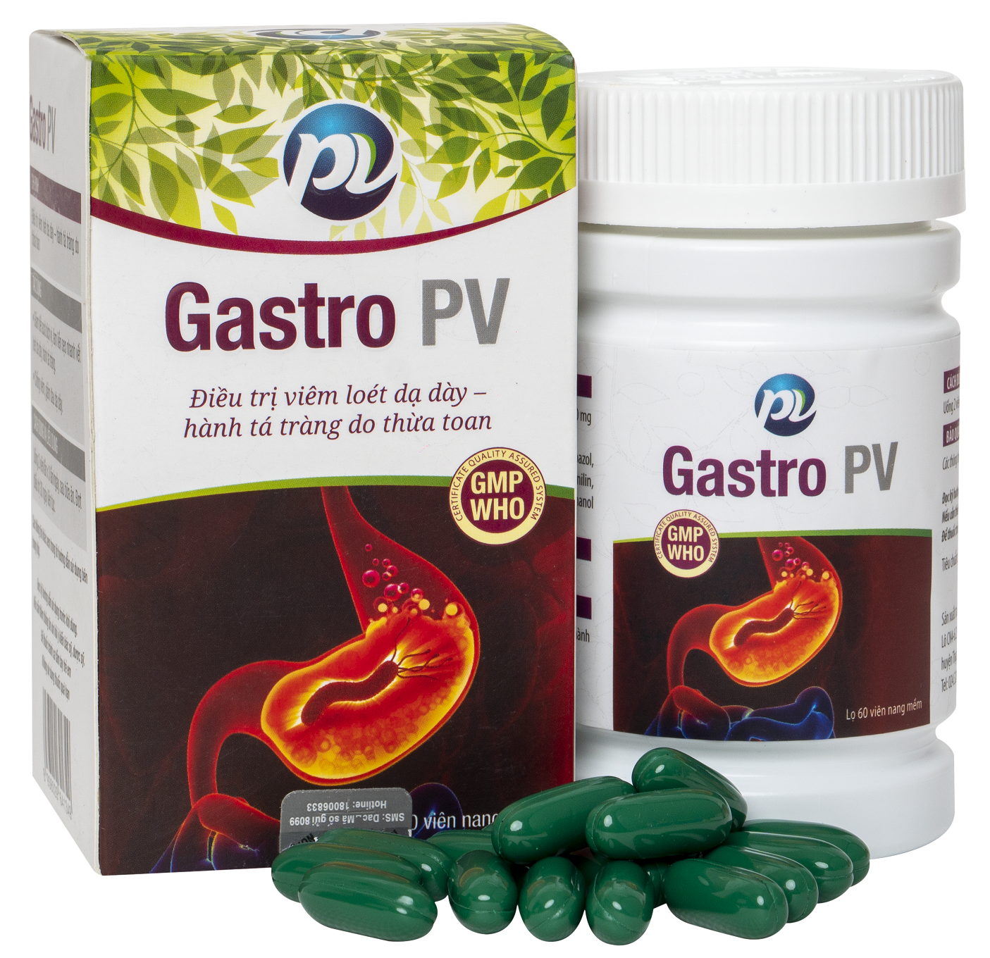 Gastro PV Phúc Vinh (C/60v)