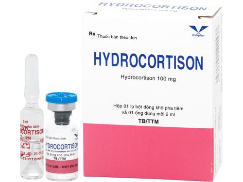 Hydrocortison 100mg Bidiphar (H/1 lọ)