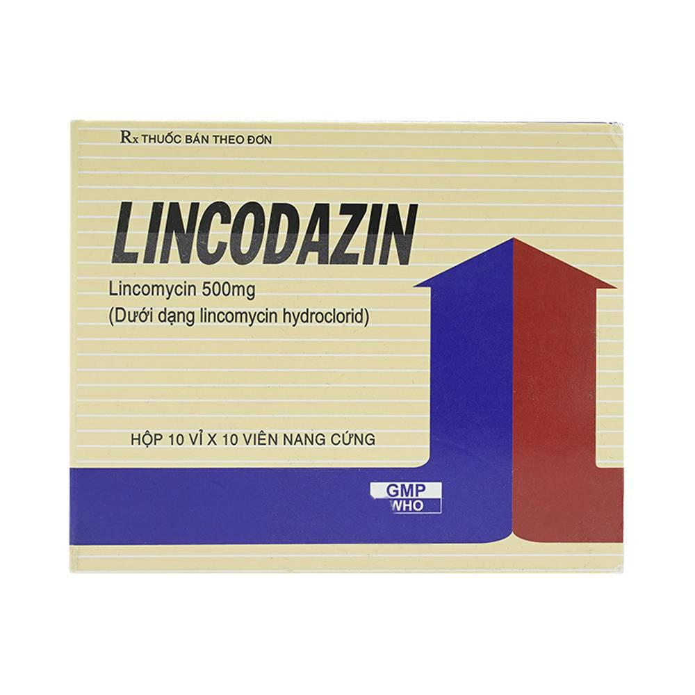 Lincodazin (Lincomycin) 500mg Vidipha (H/100v)