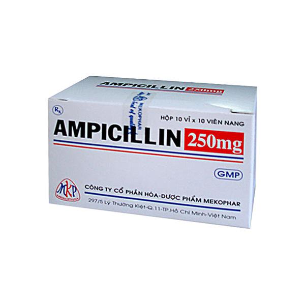 Ampicillin 250mg Mekophar (H/100v)