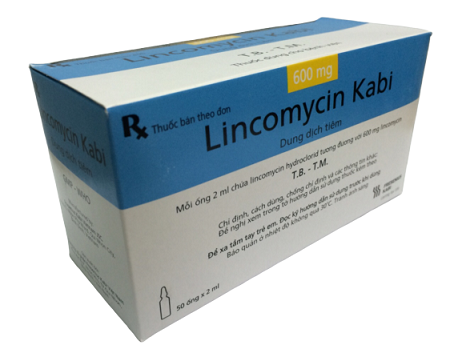Lincomycin Kabi 600mg Bidiphar​​​​​​​ (H/50o)