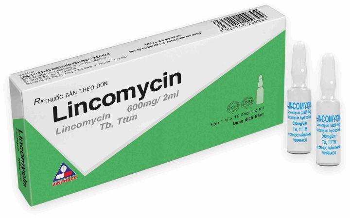Lincomycin 600mg/2ml Vinphaco (H/10o/2ml)