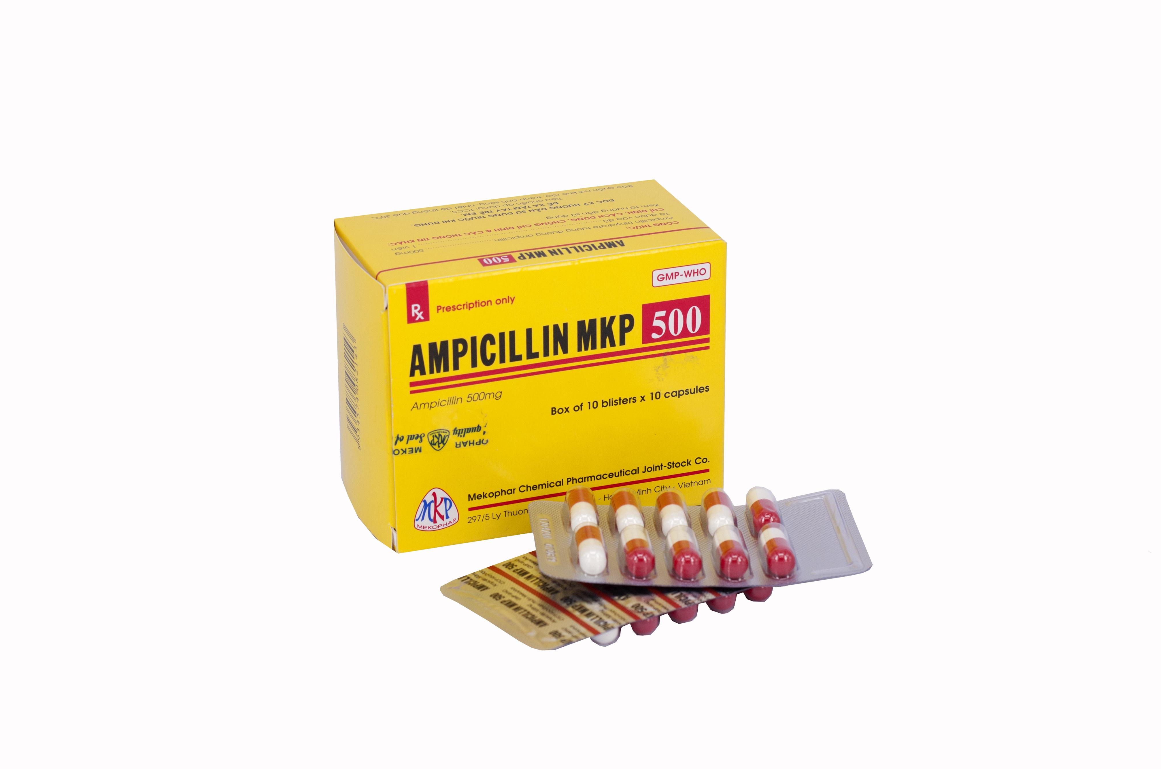 Ampicillin 500mg Mekophar (H/100v)