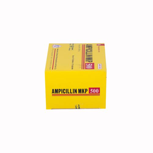 Ampicillin 500mg Mekophar (H/100v)