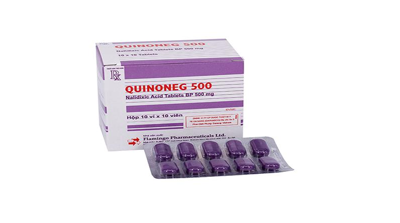 Quinoneg (Nalidixic Acid) 500mg Flamingo (H/100v)