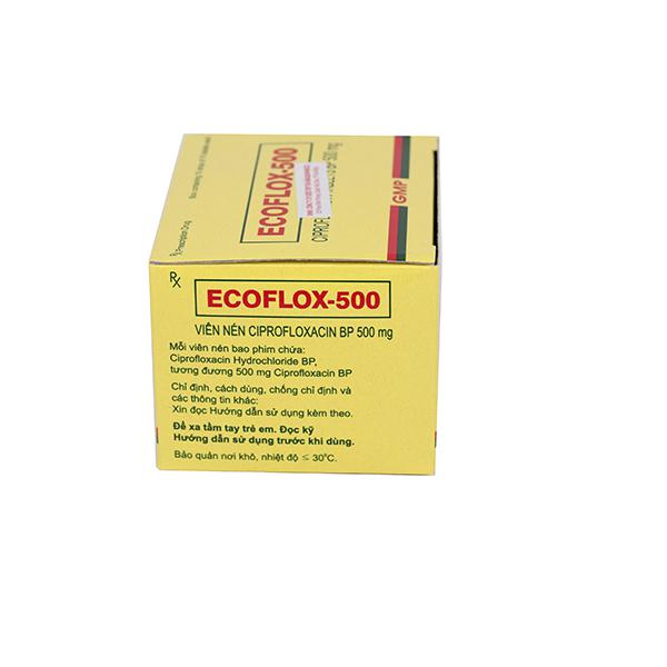 Ecoflox (Ciprofloxacin) 500mg Medley (H/100v)