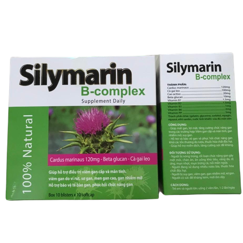 Silymarin B-Complex USA (H/100v)