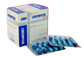 Lincomycin 500mg Nghệ An (H/100v)