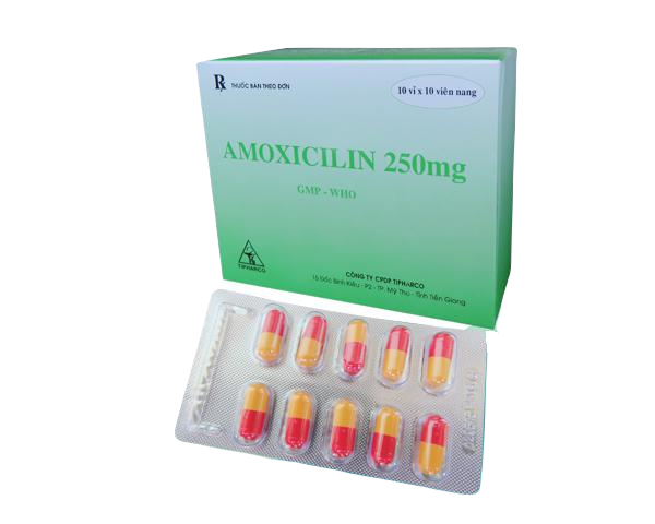 Amoxicilin 250mg Tipharco (H/100v)