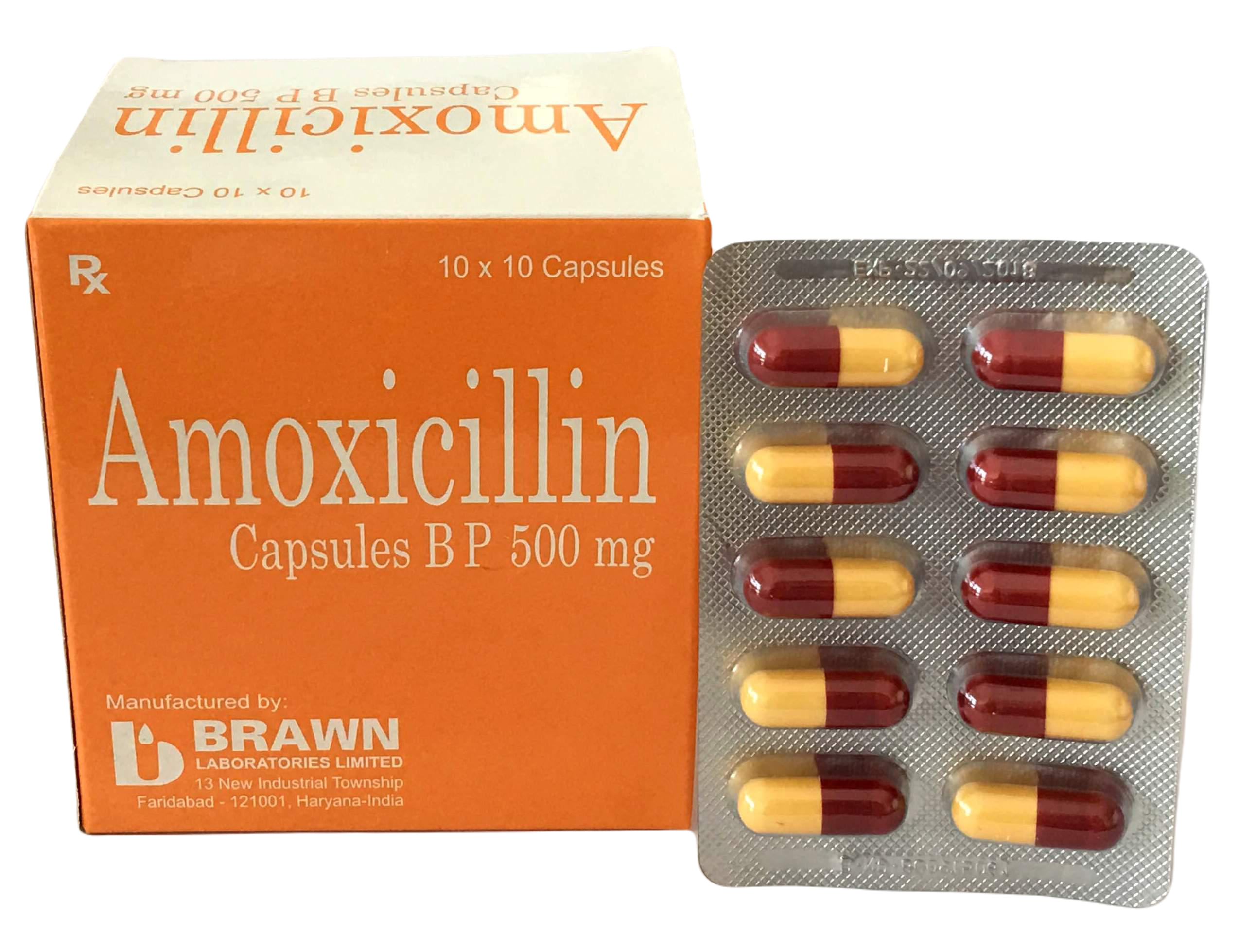 Amoxicillin 500 Brawn (H/100v)
