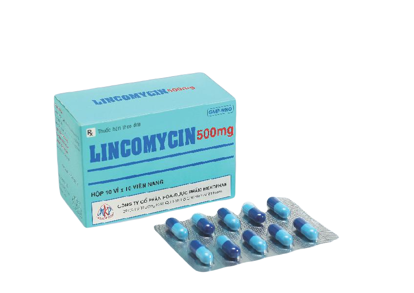 Lincomycin 500mg Mekophar (H/100v)