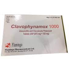 Clavophynamox 1g (Amoxicillin, Acid Clavulanic) Flamingo (H/10v)