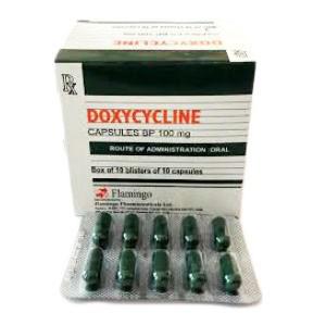 Doxycycline 100mg Flamingo (H/100v)