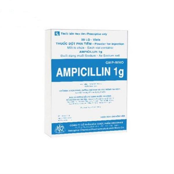 Ampicilin 1g Mekophar (H/50 Lọ/1g)