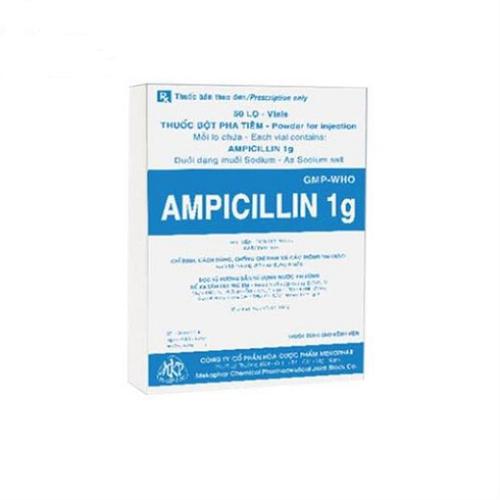 Ampicilin 1g Mekophar (H/50 Lọ/1g)