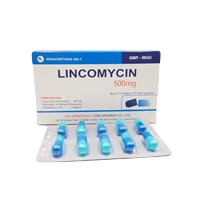 Lincomycin 500mg Armephaco (Hộp 100 viên)