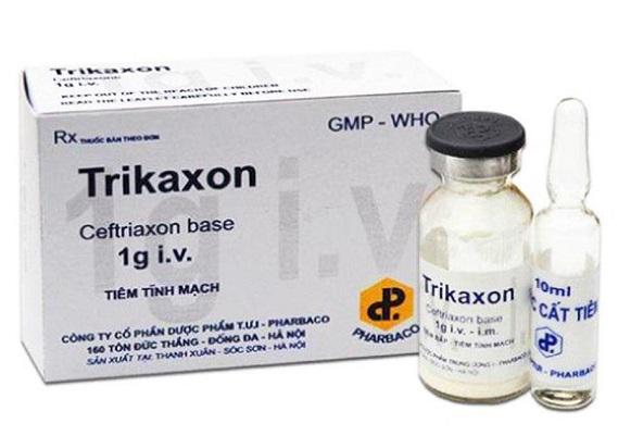Trikaxon 1g IV (Ceftriaxon) Pharbaco (H/10h/lọ)