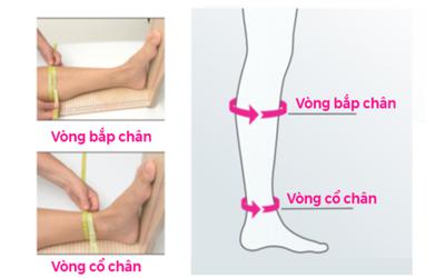 Cách Đo Và Chọn Size Vớ Giãn Tĩnh Mạch