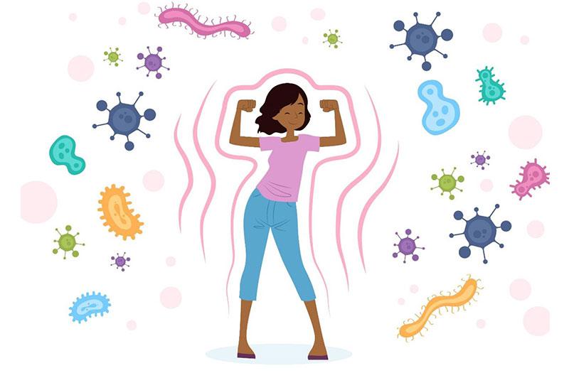 Công Dụng Của Cây Trinh Nữ Hoàng Cung