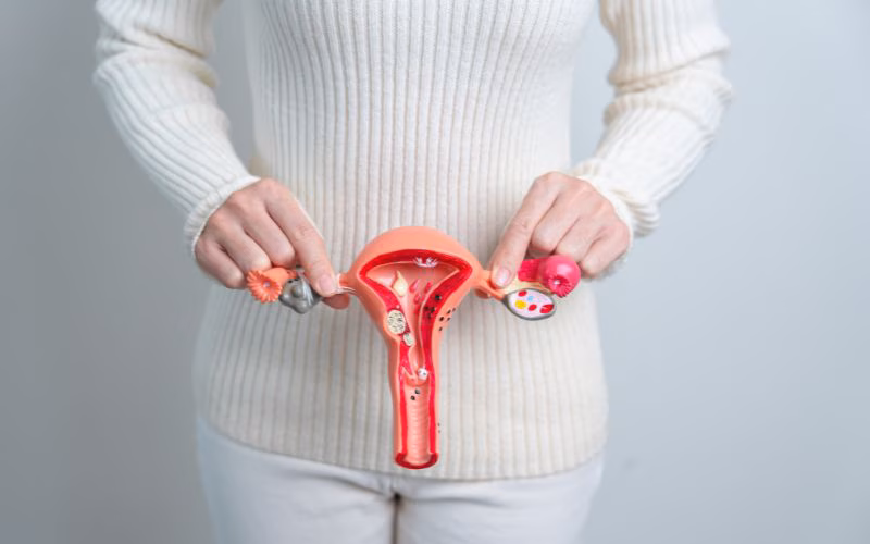  Một Số Bệnh Phụ Khoa Thường Hay Gặp Ở Phụ Nữ