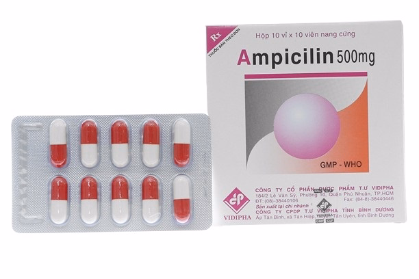 Ampicilin 500mg Vidipha (H/100v)