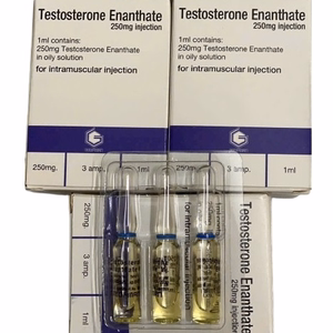 Testosterone Enanthate 250mg Geofman (H/3 ống)