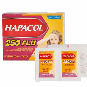 Hapacol 250mg Flu DHG Pharma (H/24g
