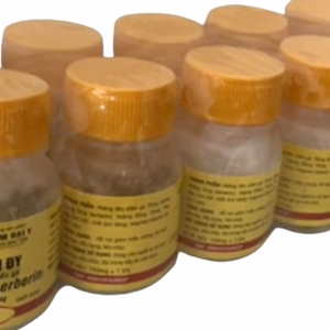 Hoàng liên ĐY berberin 5mg Đại Y (Lốc/10c/80v)