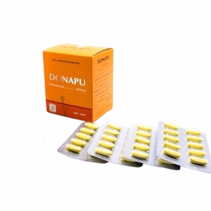 Donapu 650 (Paracetamol 650mg) Đông Nam (H/100v)-Nén Dài