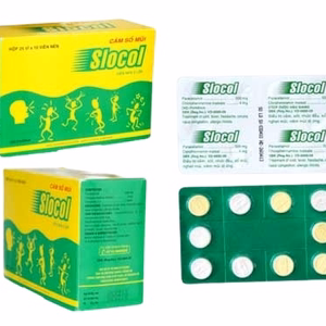 Slocol (Paracetamol 500mg + Clorpheniramin 2mg) DHG Pharma (H/250v)