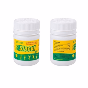 Slocol (Paracetamol 500mg + Clorpheniramin 2mg) DHG Pharma (Chai/100v)